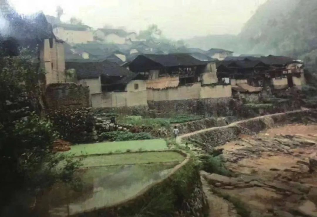 640.jpg